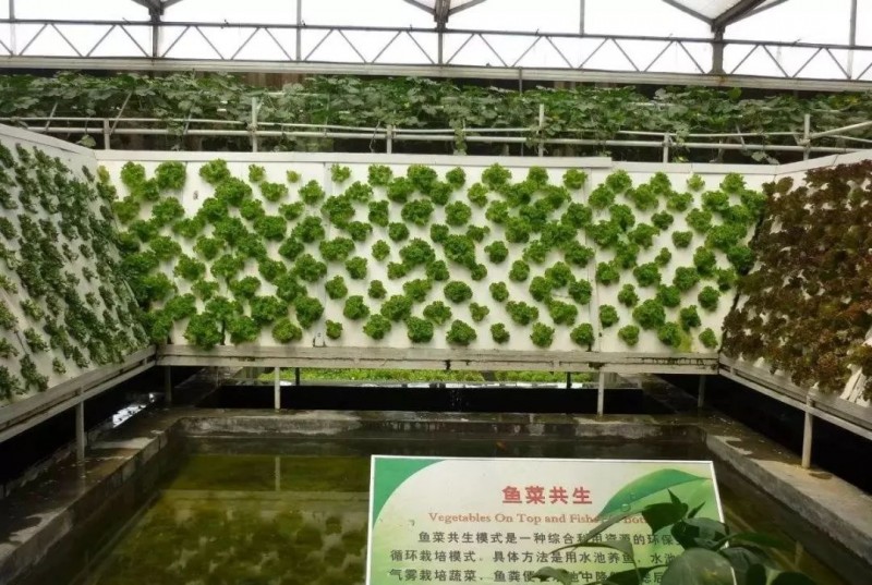 設施農業(yè)17