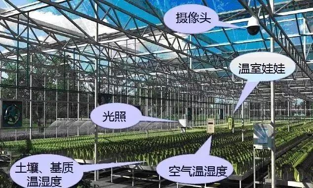 設施農業(yè)19