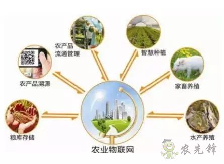 為農(nóng)業(yè)插上翅膀，物聯(lián)網(wǎng)引領(lǐng)下一個農(nóng)業(yè)時代！