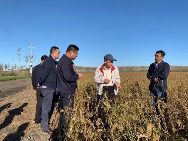 未來(lái)農(nóng)業(yè)價(jià)值可期！阿里、京東、華為，碧桂園紛紛發(fā)力數(shù)字農(nóng)業(yè)