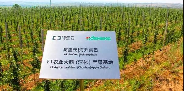 看數(shù)字農(nóng)業(yè)如何為中國(guó)農(nóng)業(yè)開(kāi)展新道路
