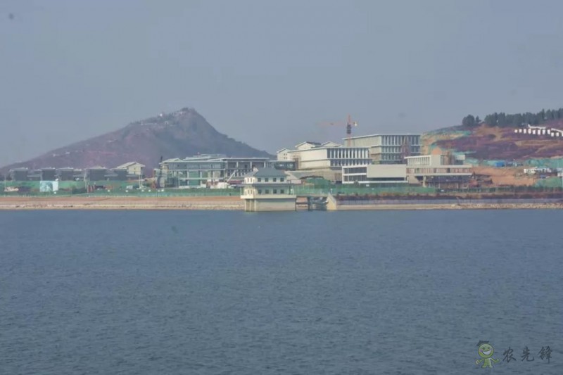 鄧興旺：我為何回國辦現(xiàn)代農(nóng)學(xué)？