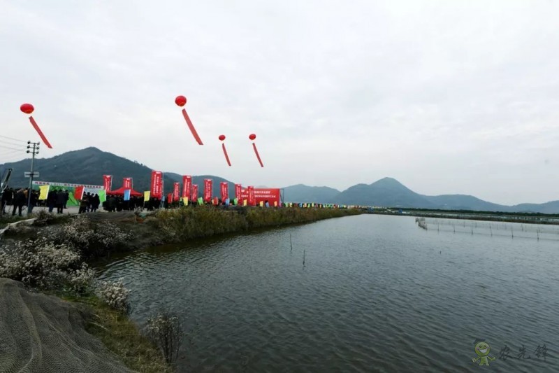 網(wǎng)易味央（三門）現(xiàn)代農(nóng)業(yè)示范園正式開工！