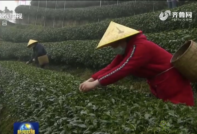 樊祥成：新冠肺炎疫情給農(nóng)業(yè)農(nóng)村發(fā)展帶來的困難只是暫時的