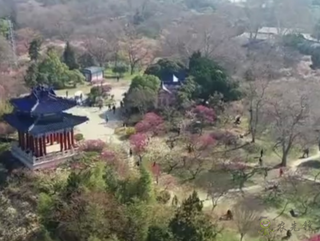 樊祥成：新冠肺炎疫情給農(nóng)業(yè)農(nóng)村發(fā)展帶來的困難只是暫時的