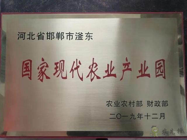 農業(yè)農村部對滏東國家現(xiàn)代農業(yè)產業(yè)園進行正式授牌