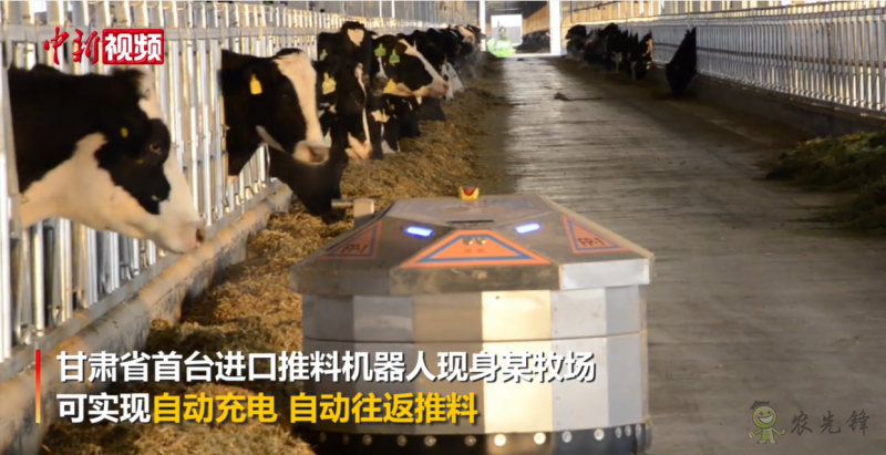 甘肅省首臺進(jìn)口推料機(jī)器人現(xiàn)身