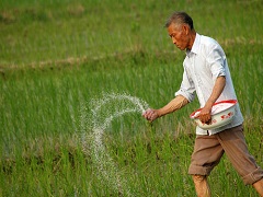 加強生物固氮科技創(chuàng)新，助力耕地資源保護與耕地質量提升
