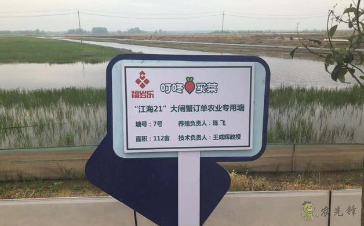 “互聯網+農業(yè)”重構產銷  叮咚買菜訂單農業(yè)養(yǎng)殖新模式