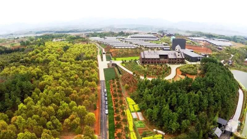 金華畜牧企業(yè)紛紛轉向“四無”養(yǎng)殖模式