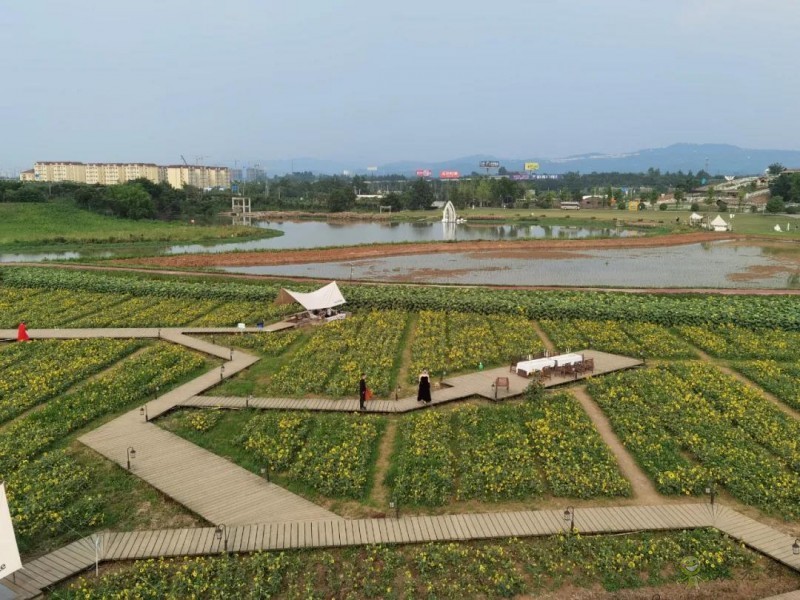 以創(chuàng)建農(nóng)業(yè)國際貿(mào)易高質(zhì)量發(fā)展基地為契機(jī)——推動(dòng)中國農(nóng)業(yè)國際合作邁向新高度