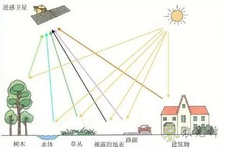 中國(guó)遙感衛(wèi)星再添新成員 看TA在太空如何對(duì)農(nóng)作物“稱(chēng)斤計(jì)兩”？