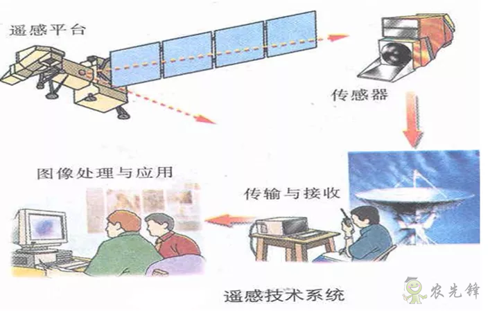 中國(guó)遙感衛(wèi)星再添新成員 看TA在太空如何對(duì)農(nóng)作物“稱(chēng)斤計(jì)兩”？