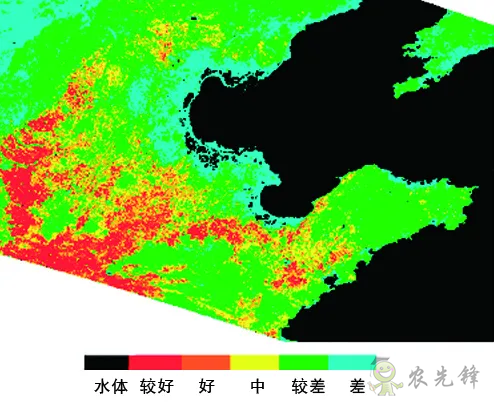 中國(guó)遙感衛(wèi)星再添新成員 看TA在太空如何對(duì)農(nóng)作物“稱(chēng)斤計(jì)兩”？