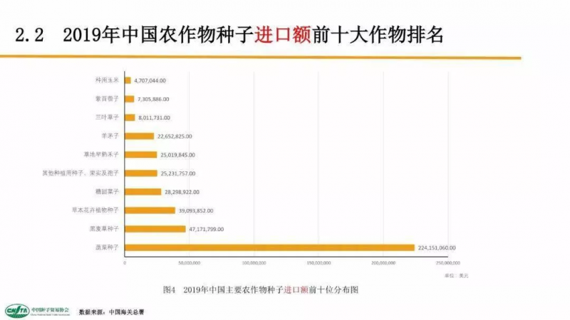 中國每年進口7萬噸“洋種子”：14億人的飯碗，能端穩(wěn)嗎？