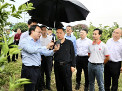 唐仁?。鹤龃笞鰪?qiáng)特色產(chǎn)業(yè)，扎實推進(jìn)鄉(xiāng)村建設(shè)