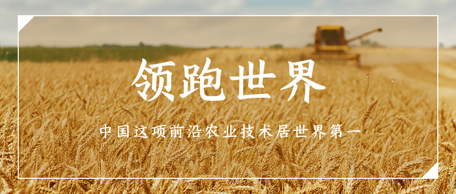 領(lǐng)跑世界:中國這項前沿農(nóng)業(yè)技術(shù)居世界第一