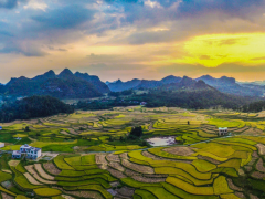【縣域農(nóng)業(yè)】縣域是未來農(nóng)業(yè)品牌建設(shè)的主戰(zhàn)場！