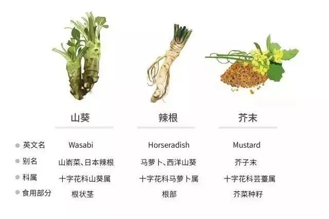 日本百年芥末農(nóng)場：精耕單品，專注美食，以靜制動(dòng)