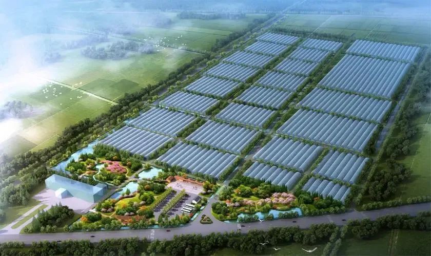 國家現代農業(yè)產業(yè)園發(fā)展的新思路與新舉措