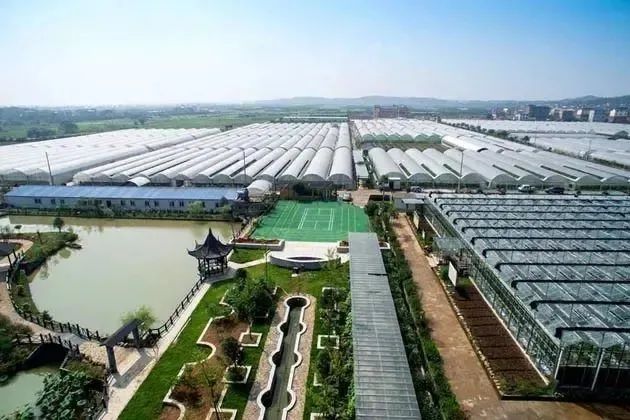 國家現代農業(yè)產業(yè)園發(fā)展的新思路與新舉措
