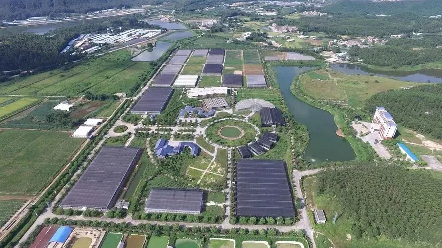 國家現代農業(yè)產業(yè)園發(fā)展的新思路與新舉措
