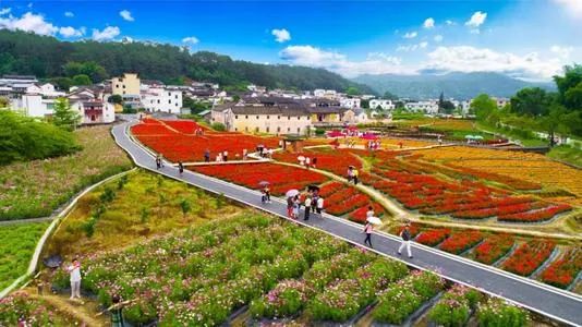 國家現代農業(yè)產業(yè)園發(fā)展的新思路與新舉措