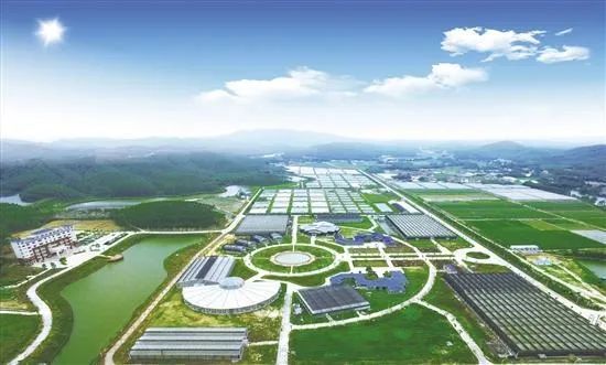 國家現代農業(yè)產業(yè)園發(fā)展的新思路與新舉措