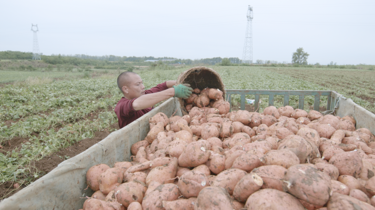 宜城紅薯：新電商怎么“生生造出”一個(gè)新產(chǎn)業(yè)？