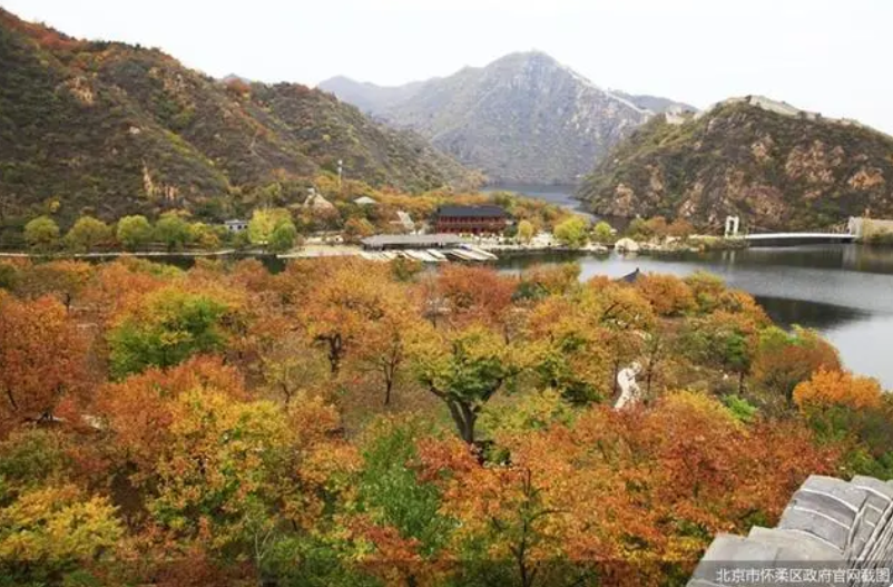 京郊“打卡”熱度持續(xù)，北京農(nóng)業(yè)“附加值”亮眼