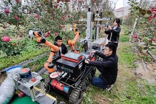 農(nóng)業(yè)機器人來到應(yīng)用窗口期，助力未來百億人口糧食安全