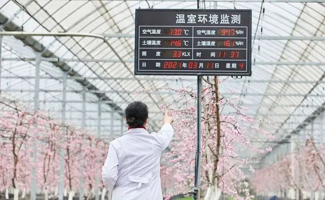 未來(lái)農(nóng)業(yè)10大科技趨勢(shì)和創(chuàng)新、亮點(diǎn)