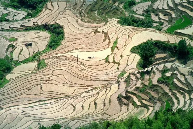 王克修：共同加強(qiáng)“農(nóng)業(yè)文化遺產(chǎn)保護(hù)”