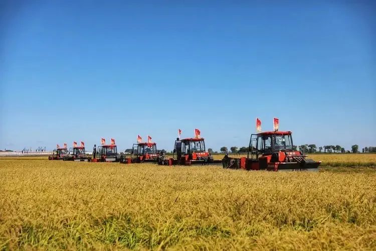 中央一號文件發(fā)布：強化農業(yè)科技和裝備支撐