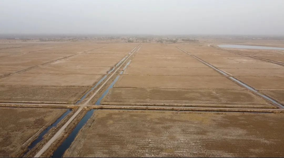 陜西榆林：6000余畝高標(biāo)準(zhǔn)農(nóng)田，緣何撂荒7年？