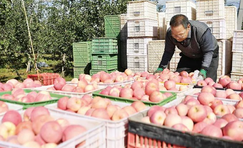楊凌農(nóng)高區(qū)：中國現(xiàn)代農(nóng)業(yè)的“支點(diǎn)”