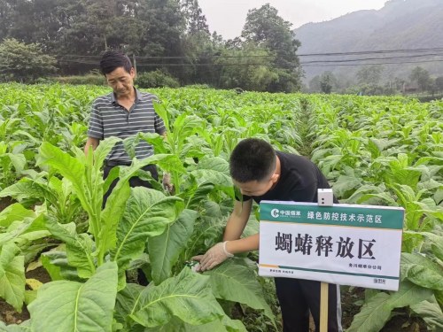 蟲子養(yǎng)出新技術 綠色防治助生產