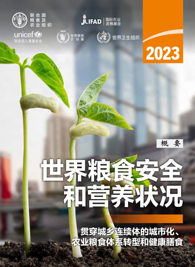 聯合國發(fā)布《2023年世界糧食安全和營養(yǎng)狀況》報告：2019年以來，全球新增1.22億饑餓人口