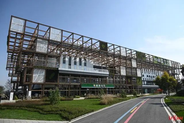 3.36億畝近8億噸！《2023年中國蔬菜產(chǎn)業(yè)發(fā)展報(bào)告》發(fā)布